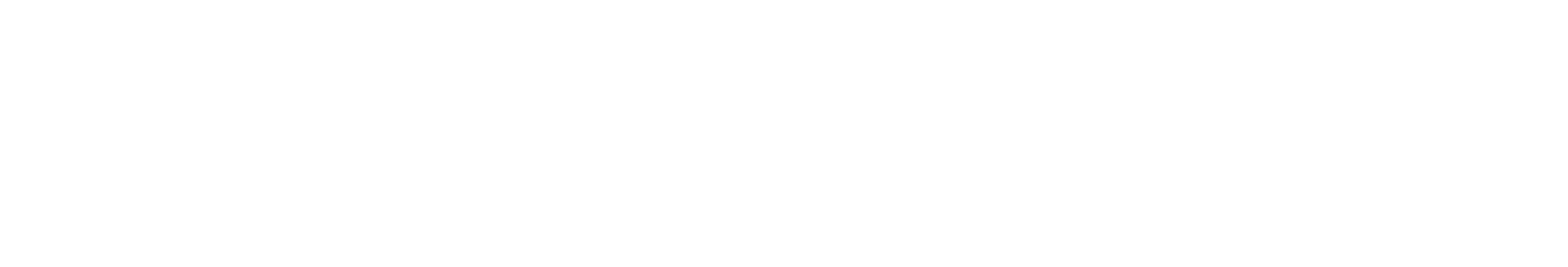 Logo New Café Madrid